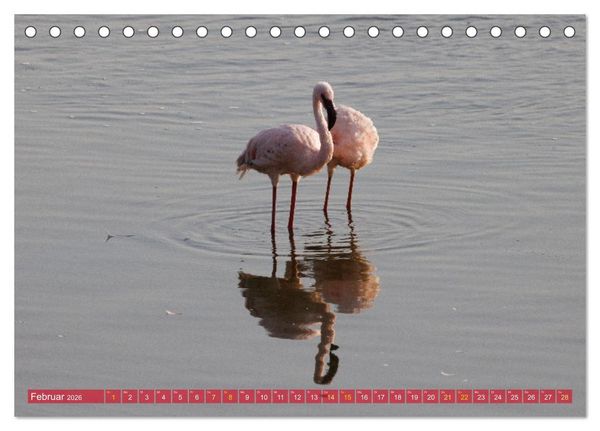 Produktbild: Flamingos am Lake Bogoria - Kenia (Tischkalender 2026 DIN A5 quer), CALVENDO Monatskalender