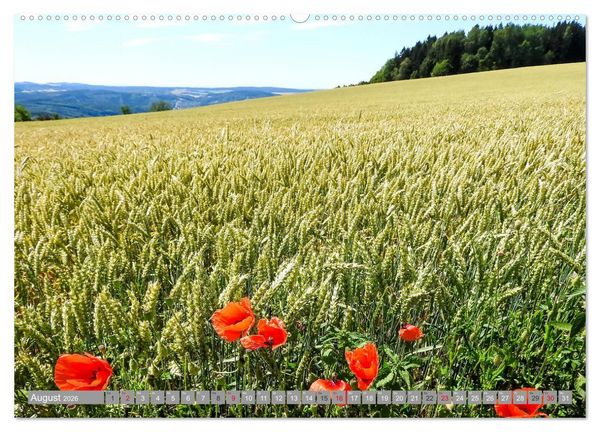Produktbild: Wandern im Erzgebirge (Wandkalender 2026 DIN A2 quer), CALVENDO Monatskalender