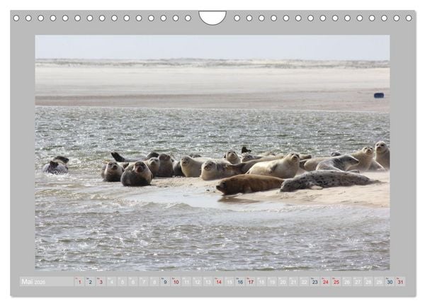 Produktbild: Juist - Kleine Insel, Gro&szlig;e Freiheit (Wandkalender 2026 DIN A4 quer), CALVENDO Monatskalender