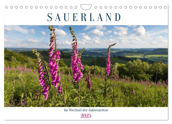 Das Sauerland im Wechsel der Jahreszeiten (Wandkalender 2025 DIN A4 quer), CALVENDO Monatskalender