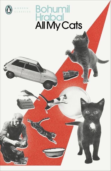 Produktbild: All My Cats