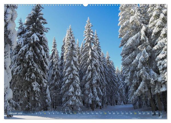 Produktbild: Spaziergang im Wald (hochwertiger Premium Wandkalender 2026 DIN A2 quer), Kunstdruck in Hochglanz
