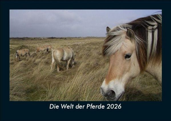 Produktbild: Die Welt der Pferde 2026 Fotokalender DIN A5