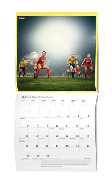 'Ein Flutlichtkalender von 11FREUNDE 2025 - Wand-Kalender - Broschüren-Kalender - 30x30 - 30x60 