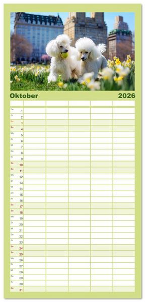 Produktbild: Familienplaner 2026 - Pudel in der Stadt. Urbane Momente voller Charme und Lebensfreude mit 5 Spalten (Wandkalender, 21 x 45 cm) CALVENDO