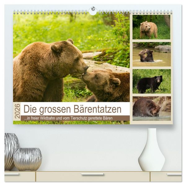Produktbild: Die grossen B&auml;rentatzen (hochwertiger Premium Wandkalender 2026 DIN A2 quer), Kunstdruck in Hochglanz
