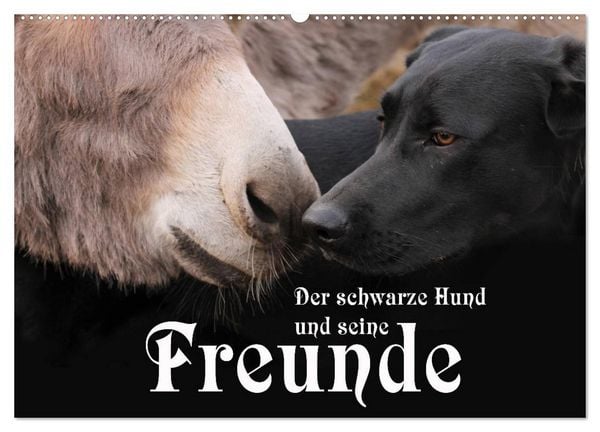 Der schwarze Hund und seine Freunde (Wandkalender 2026 DIN A2 quer), CALVENDO Monatskalender