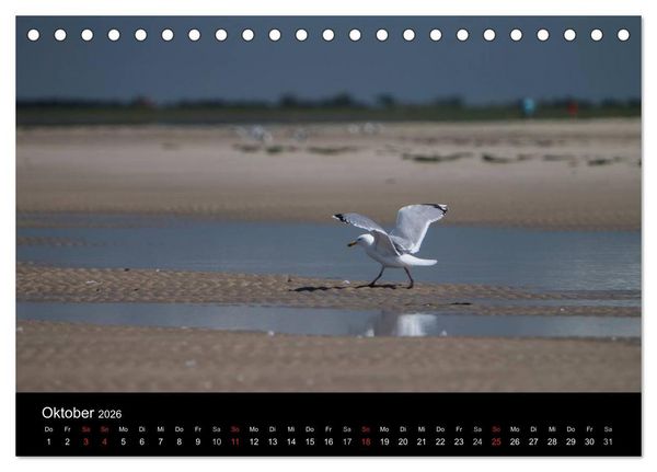 Produktbild: Amrumer Impressionen (Tischkalender 2026 DIN A5 quer), CALVENDO Monatskalender