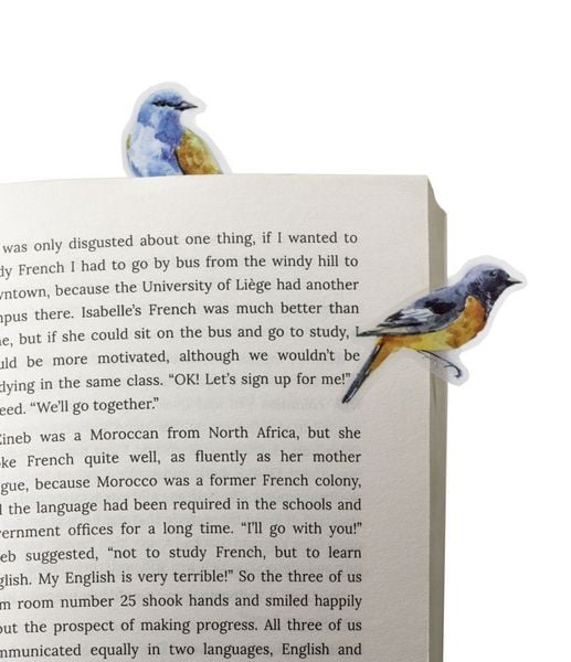 Produktbild: Stikki Marks Mini-Lesezeichen &bdquo;Winter Birds&ldquo; &ndash; 30 selbsthaftende Marker