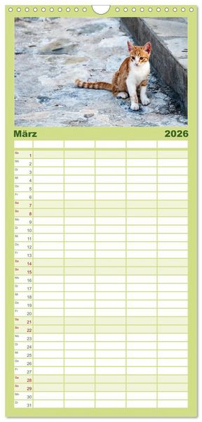Produktbild: Familienplaner 2026 - Griechische Katzen mit 5 Spalten (Wandkalender, 21 x 45 cm) CALVENDO