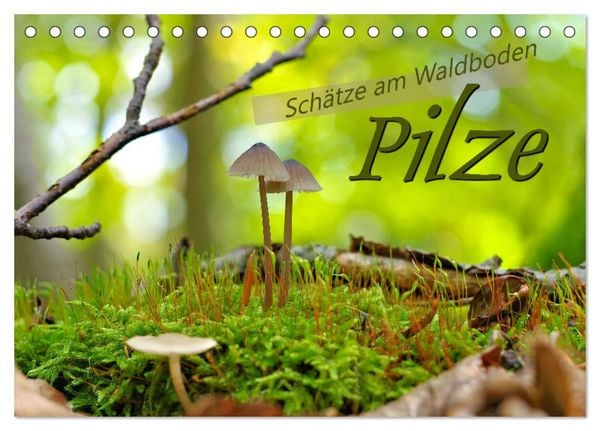 Pilze - Schätze am Waldboden (Tischkalender 2026 DIN A5 quer), CALVENDO Monatskalender