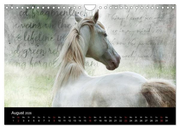 Produktbild: Pferde zum Tr&auml;umen (Wandkalender 2026 DIN A4 quer), CALVENDO Monatskalender