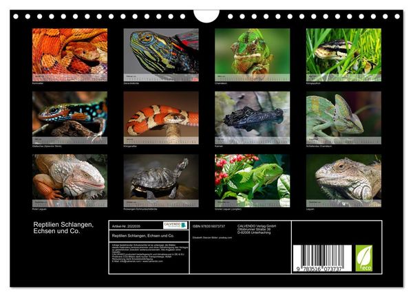 Produktbild: Reptilien Schlangen, Echsen und Co. (Wandkalender 2026 DIN A4 quer), CALVENDO Monatskalender