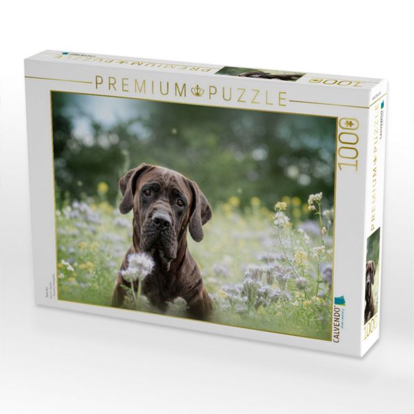 Produktbild: CALVENDO Puzzle Tosa Inu | 1000 Teile Lege-Gr&ouml;&szlig;e 64x48cm Foto-Puzzle f&uuml;r gl&uuml;ckliche Stunden