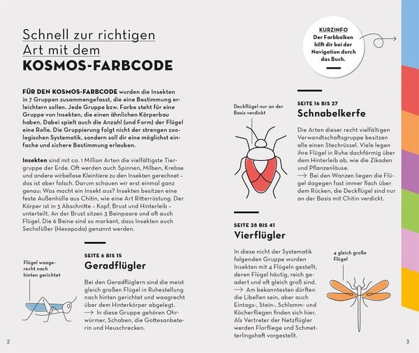 Produktbild: BASIC Insekten