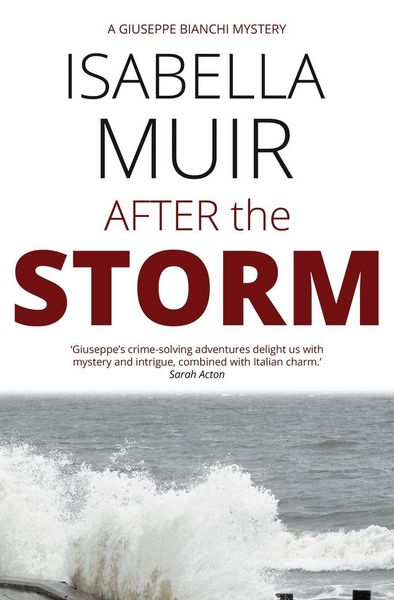 Produktbild: After the Storm