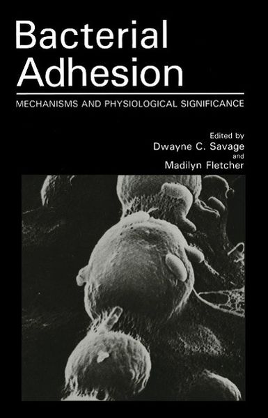Produktbild: Bacterial Adhesion