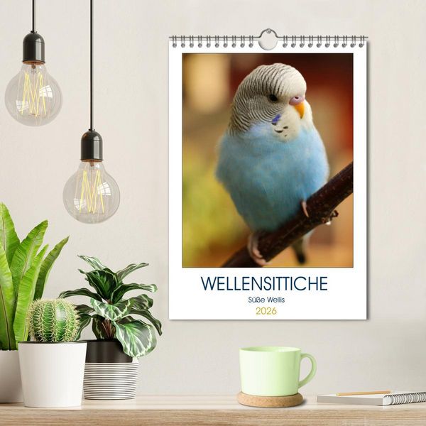 Produktbild: WELLENSITTICHE - S&uuml;&szlig;e Wellis (Wandkalender 2026 DIN A4 hoch), CALVENDO Monatskalender