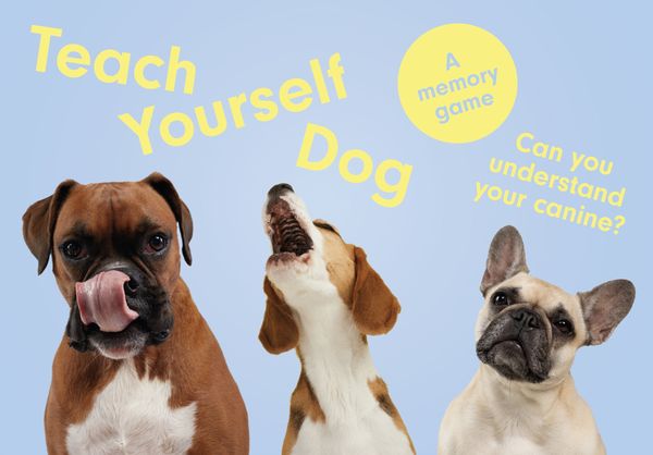 Produktbild: Teach Yourself Dog