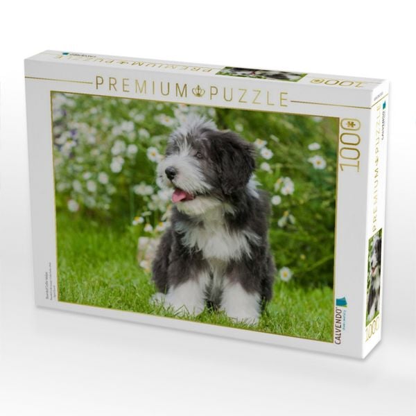 Produktbild: CALVENDO Puzzle Bearded Collie Welpe | 1000 Teile Lege-Gr&ouml;&szlig;e 64x48cm Foto-Puzzle f&uuml;r gl&uuml;ckliche Stunden