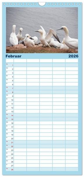 Produktbild: Familienplaner 2026 - Helgoland - idyllische Nordseeinsel mit 5 Spalten (Wandkalender, 21 x 45 cm) CALVENDO