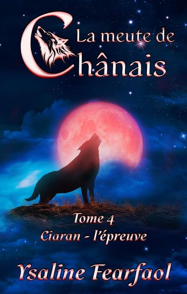 Produktbild: La meute de Ch&acirc;nais tome 4: Ciaran - l'&eacute;preuve