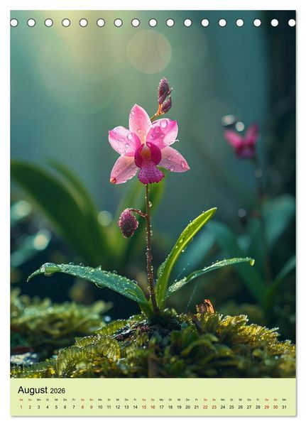 Produktbild: Orchideen Poesie (Tischkalender 2026 DIN A5 hoch), CALVENDO Monatskalender
