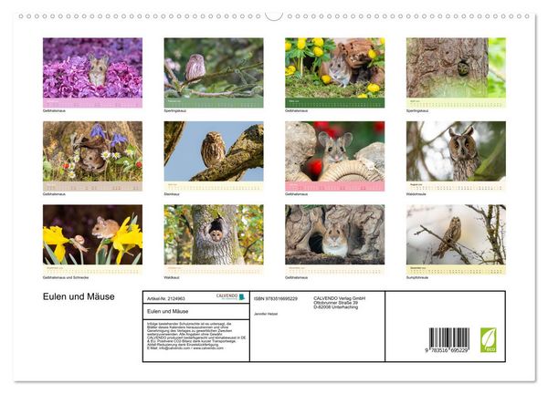 Produktbild: Eulen und M&auml;use (hochwertiger Premium Wandkalender 2026 DIN A2 quer), Kunstdruck in Hochglanz