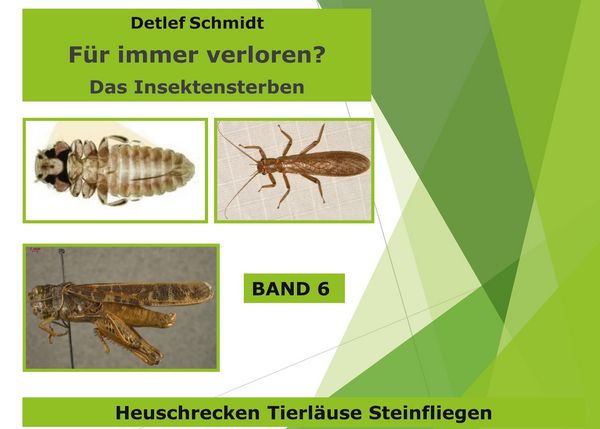 Produktbild: F&uuml;r immer verloren? Band 6