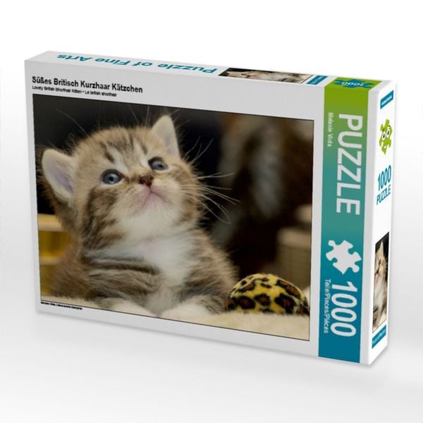 Produktbild: CALVENDO Puzzle S&uuml;&szlig;es Britisch Kurzhaar K&auml;tzchen | 1000 Teile Lege-Gr&ouml;&szlig;e 64x48cm Foto-Puzzle f&uuml;r gl&uuml;ckliche Stunden