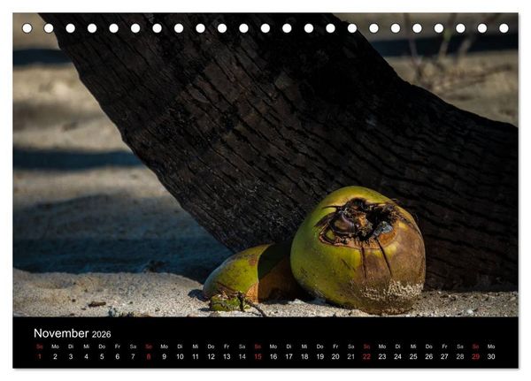 Produktbild: Myanmar - Eindr&uuml;cke (Tischkalender 2026 DIN A5 quer), CALVENDO Monatskalender