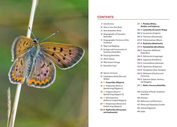 Produktbild: Butterflies of the Pacific Northwest