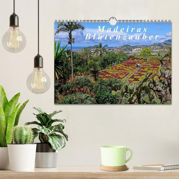 Produktbild: Madeiras Bl&uuml;tenzauber (Wandkalender 2026 DIN A4 quer), CALVENDO Monatskalender