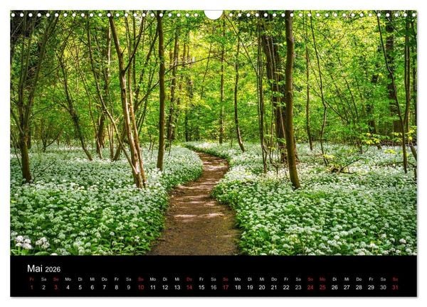 Produktbild: Mannheimer Waldpark (Wandkalender 2026 DIN A3 quer), CALVENDO Monatskalender