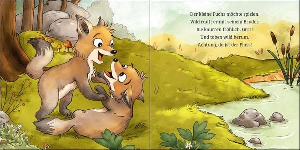Produktbild: Mein erstes Naturbuch - Der Fuchs