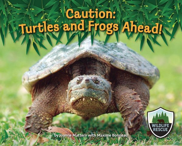 Produktbild: Caution: Turtles and Frogs Ahead!