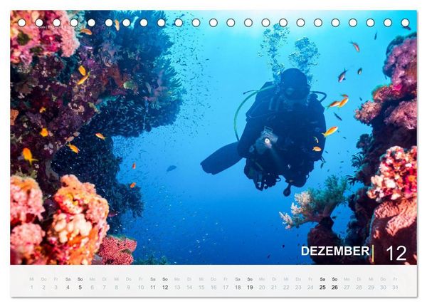 Produktbild: Die sch&ouml;nsten Korallenriffe zum Tauchen in &Auml;gypten (Tischkalender 2027 DIN A5 quer), CALVENDO Monatskalender