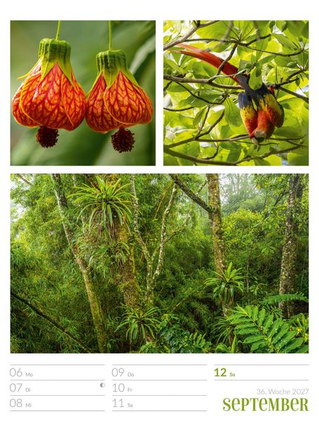 Produktbild: Farben der Natur Wochenplaner Kalender 2027