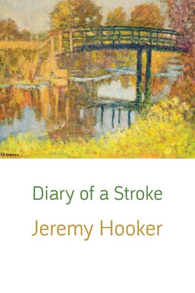 Produktbild: Diary of a Stroke