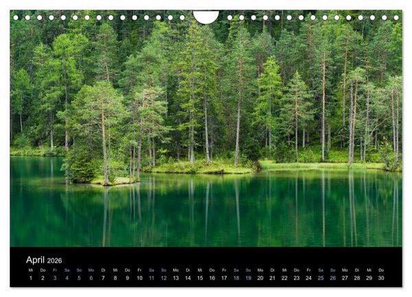 Produktbild: Wildes Europa 2026 (Wandkalender 2026 DIN A4 quer), CALVENDO Monatskalender