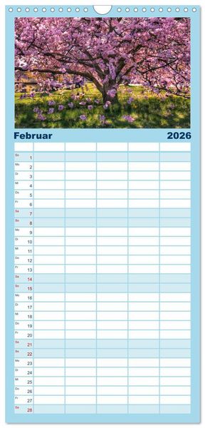 Produktbild: Familienplaner 2026 - B&auml;ume, der Atem der Natur mit 5 Spalten (Wandkalender, 21 x 45 cm) CALVENDO