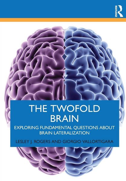 Produktbild: The Twofold Brain