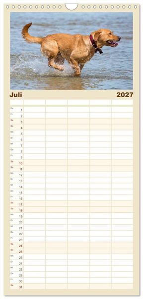 Produktbild: Familienplaner 2027 - Freunde auf vier Pfoten am Strand mit 5 Spalten (Wandkalender, 21 x 45 cm) CALVENDO