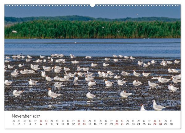 Produktbild: Donau-Delta (hochwertiger Premium Wandkalender 2027 DIN A2 quer), Kunstdruck in Hochglanz