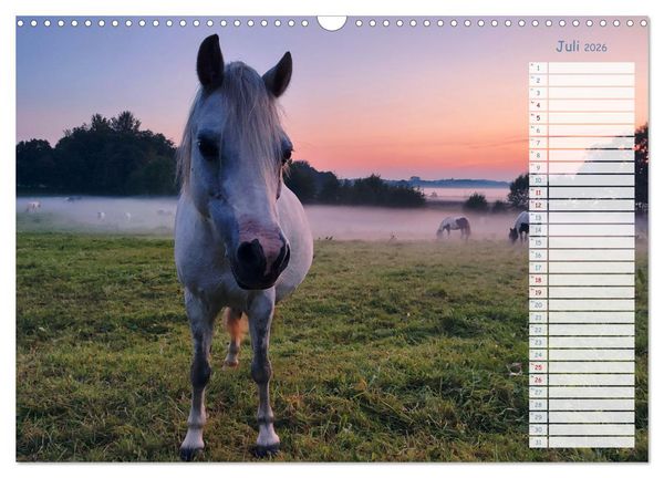 Produktbild: Zwischen Harz und Meer (Wandkalender 2026 DIN A3 quer), CALVENDO Monatskalender