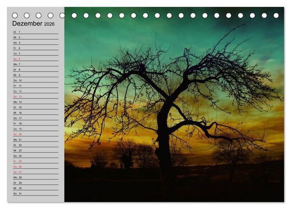 Produktbild: Magische B&auml;ume (Tischkalender 2026 DIN A5 quer), CALVENDO Monatskalender
