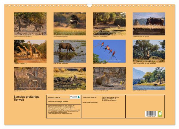 Produktbild: Sambias gro&szlig;artige Tierwelt (Wandkalender 2026 DIN A2 quer), CALVENDO Monatskalender
