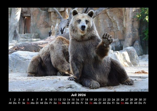 Produktbild: Tierkalender 2026 Fotokalender DIN A3