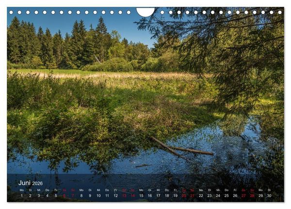 Produktbild: Naturerlebnis Aschau (Wandkalender 2026 DIN A4 quer), CALVENDO Monatskalender