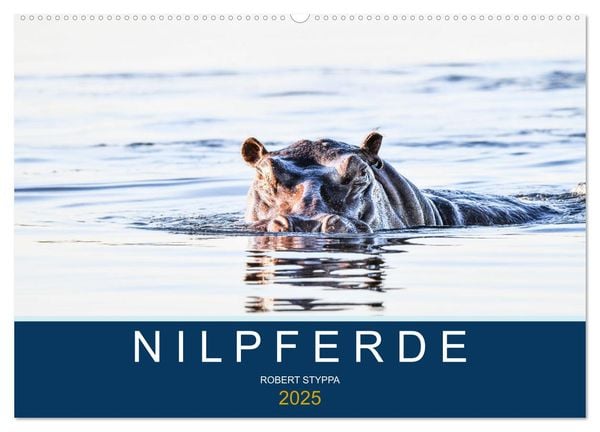 Nilpferde, Kolosse in Afrika (Wandkalender 2025 DIN A2 quer), CALVENDO Monatskalender